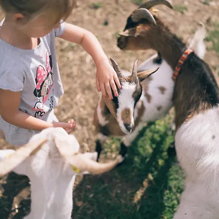 Der Kirchheimerhof Hotel 4*