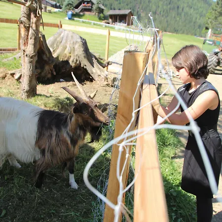 Der Kirchheimerhof 4*