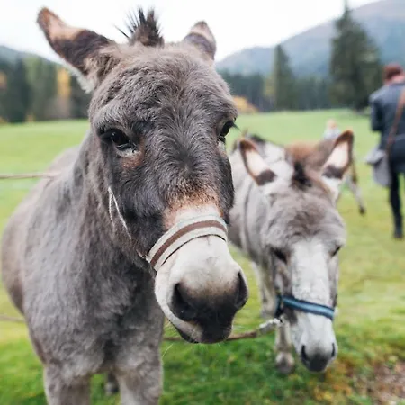 Der Kirchheimerhof Hotel