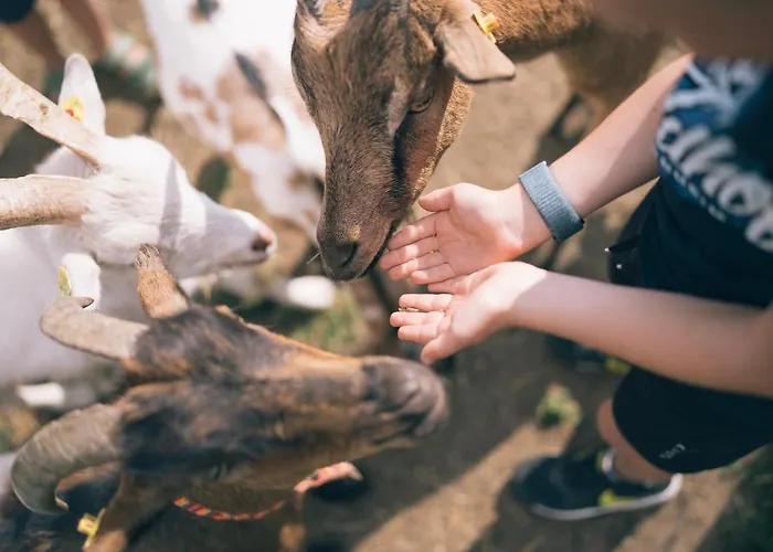 Der Kirchheimerhof Готель