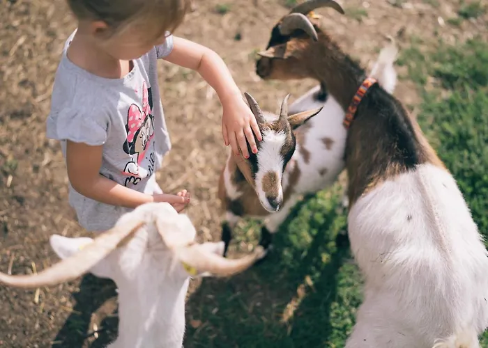 Der Kirchheimerhof Готель 4*